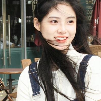 爱是一只猫